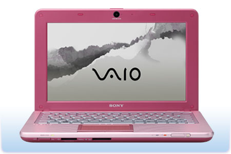 Pink Netbook