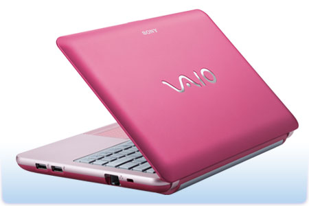 Pink Netbook