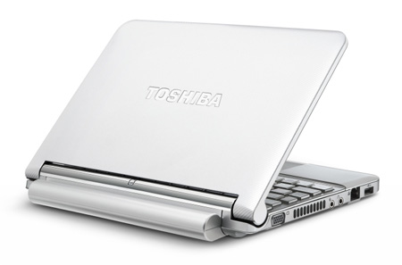 toshiba-mini-nb205-n310-hite-cover-450